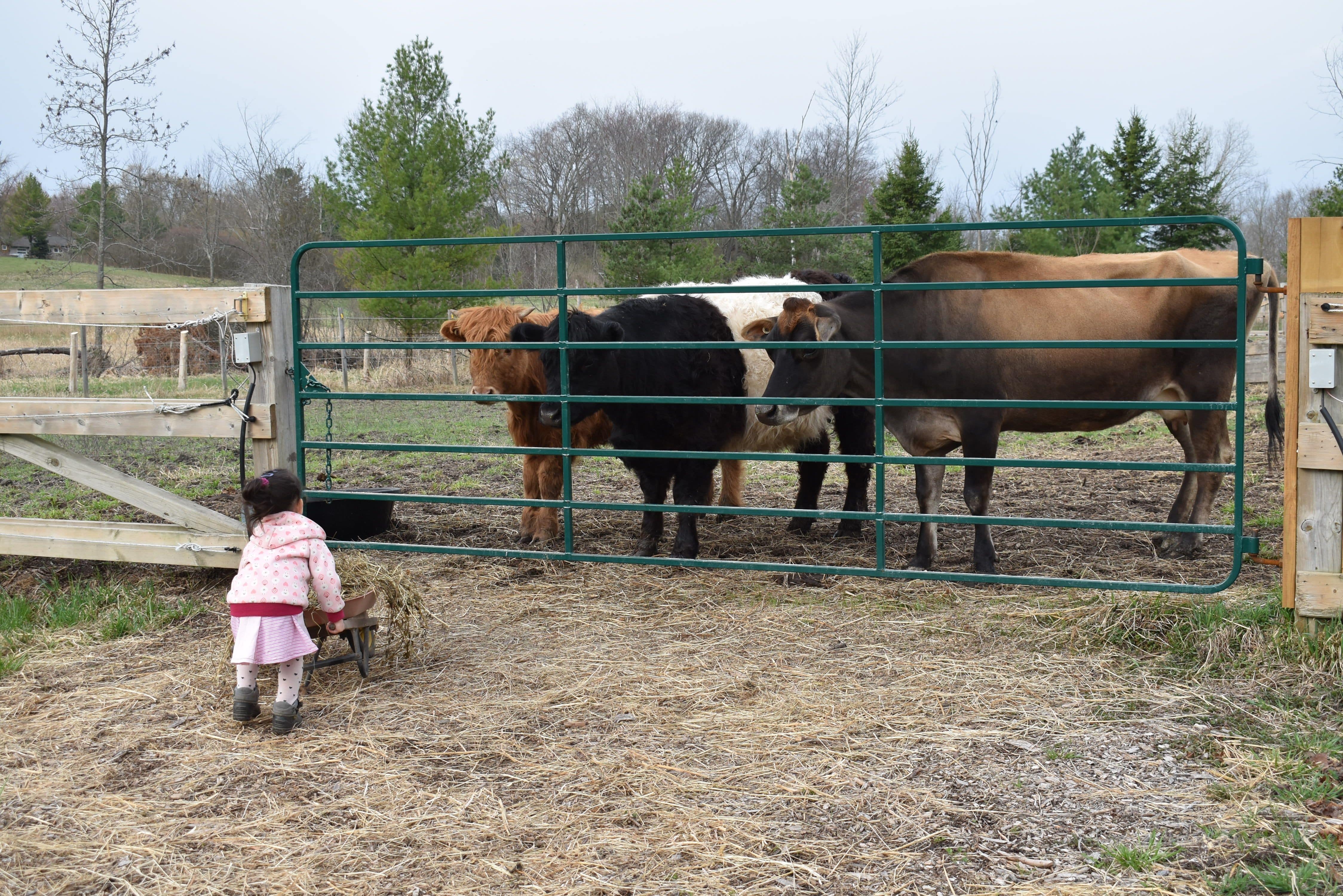 Farm